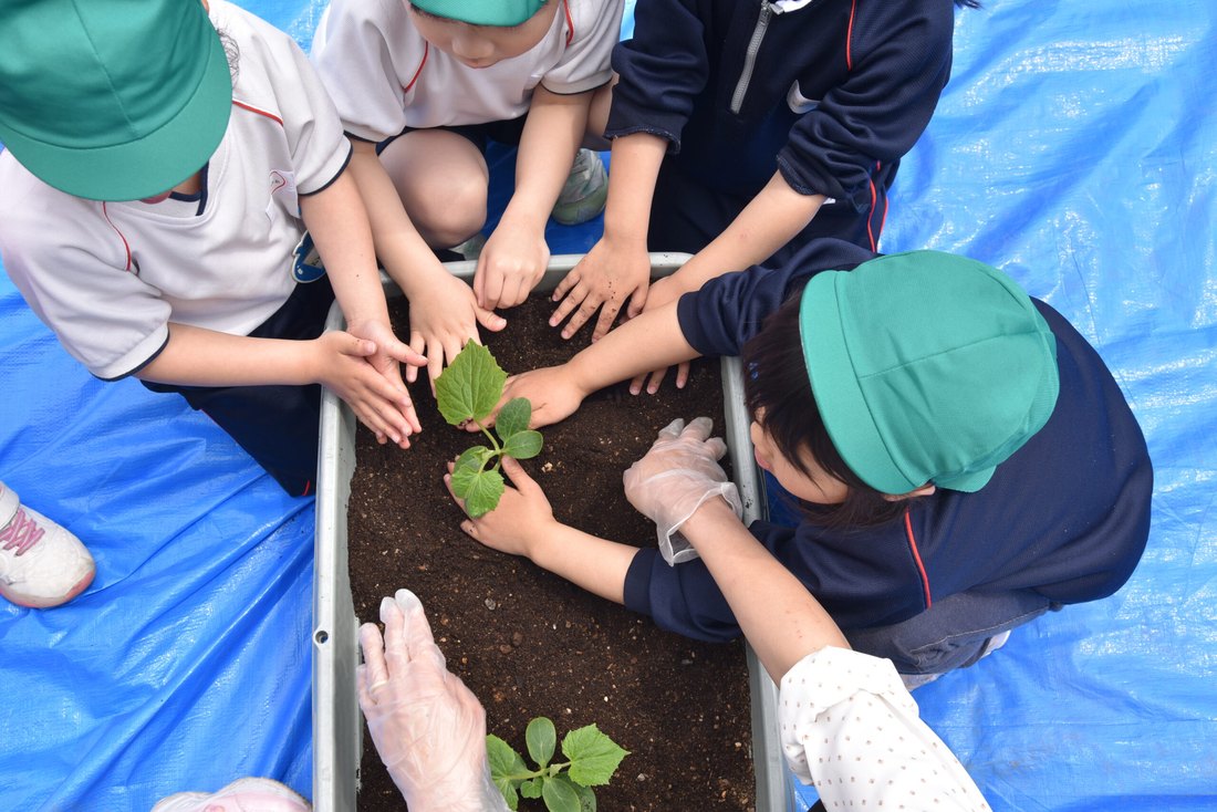 年齢の違う園児たちが一緒に苗を植える様子