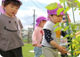 園庭で草花を見つめる子どもたち